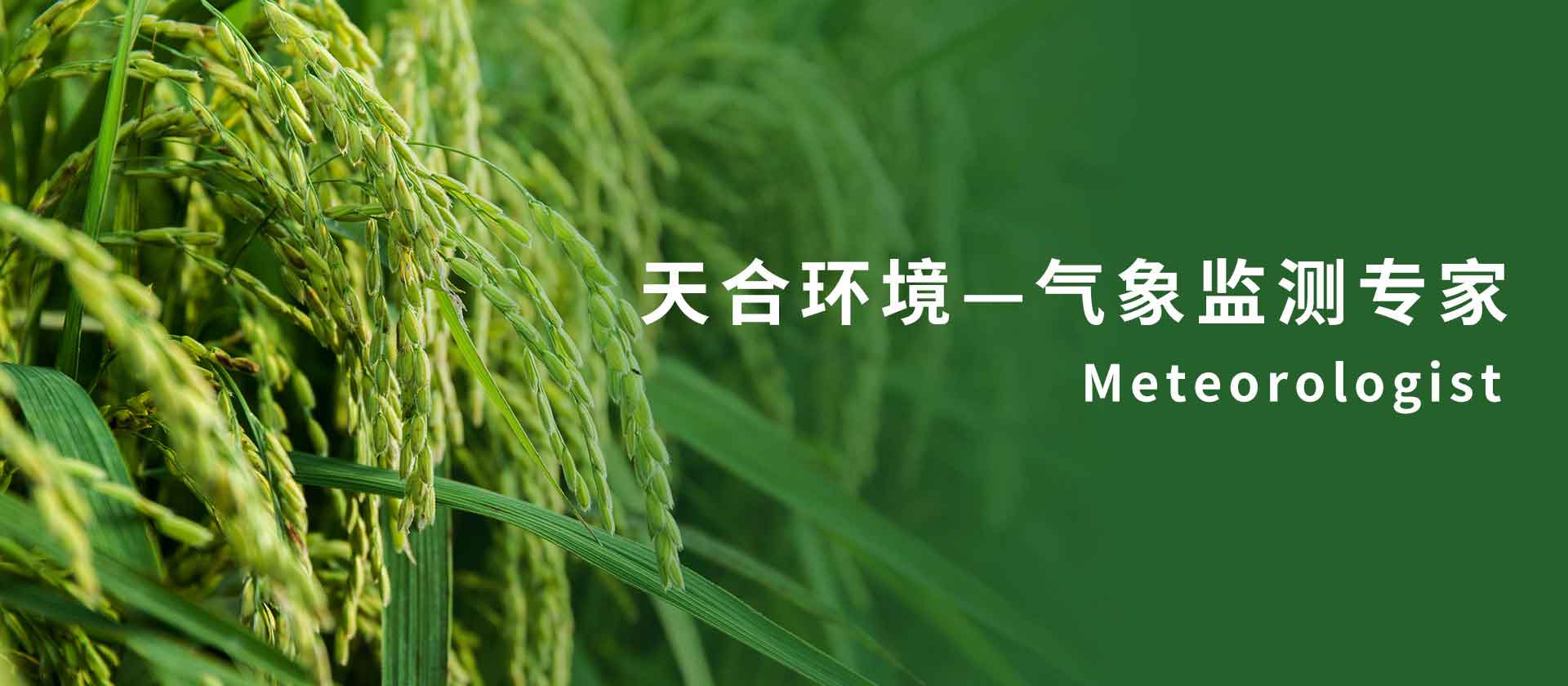 农业气象站-每日黑料51|黑瓜网-每日大赛反差|暗黑免费吃瓜在线大全|暗黑爆料免费吃瓜|每日黑料